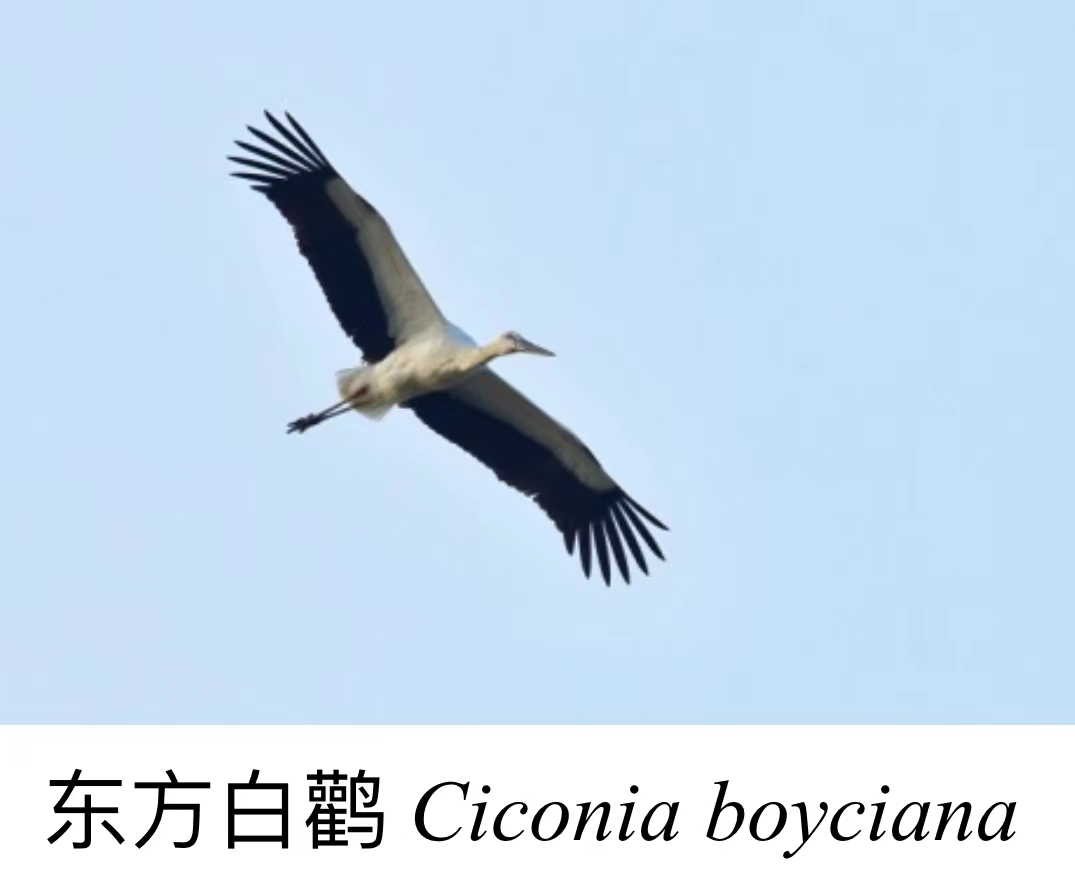 微信图片_20221202182039.jpg