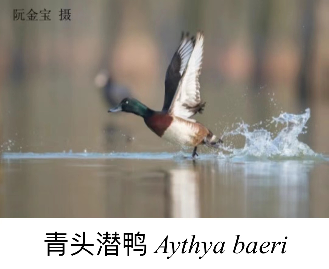 微信图片_20221202182034.jpg