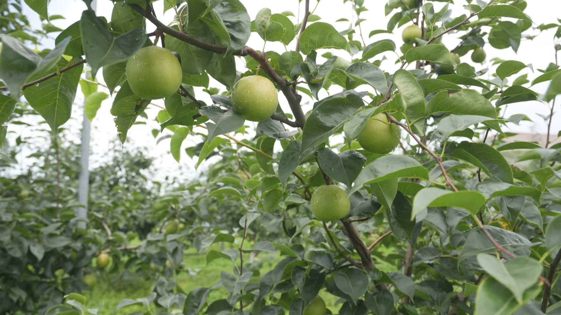 ?????????????? ?2.jpg