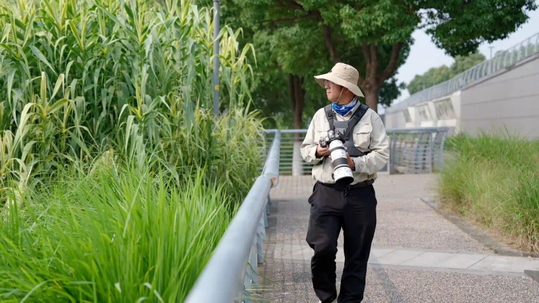 喵喵老师要的3.jpg